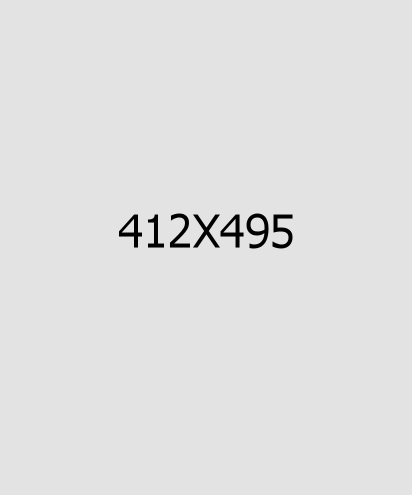 portfolio details